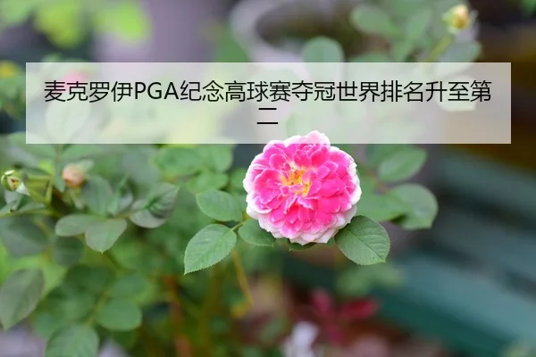 麦克罗伊PGA纪念高球赛夺冠世界排名升至第二