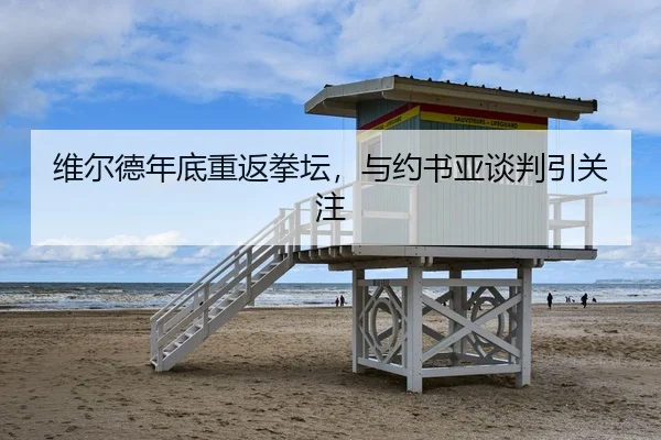 维尔德年底重返拳坛，与约书亚谈判引关注