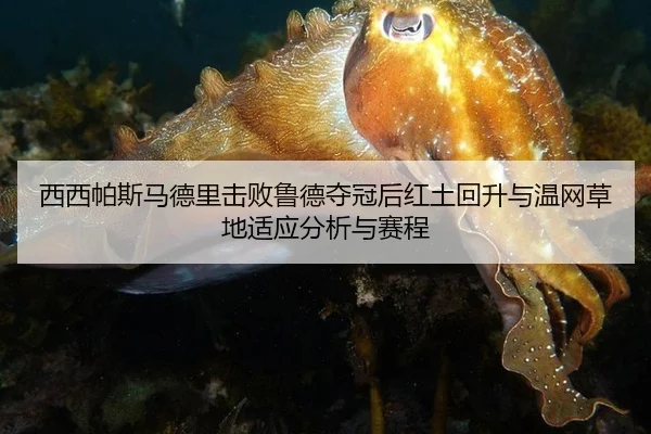 西西帕斯马德里击败鲁德夺冠后红土回升与温网草地适应分析与赛程