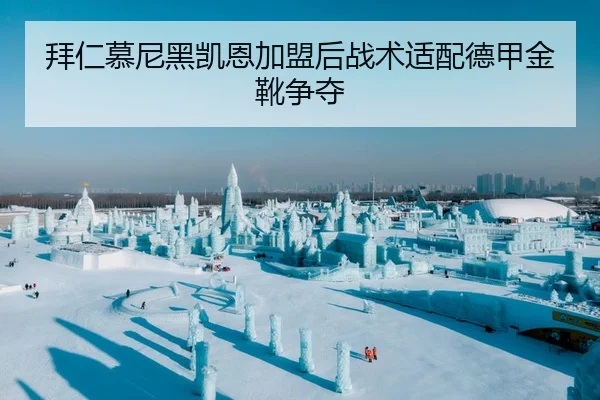 拜仁慕尼黑凯恩加盟后战术适配德甲金靴争夺