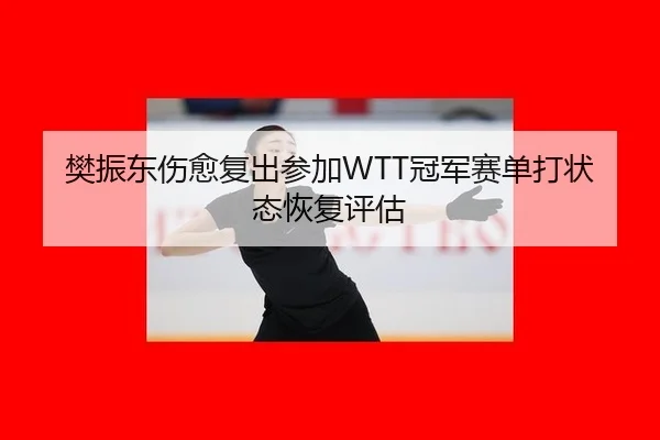 樊振东伤愈复出参加WTT冠军赛单打状态恢复评估