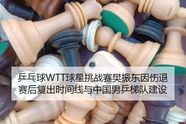 乒乓球WTT球星挑战赛樊振东因伤退赛后复出时间线与中国男乒梯队建设